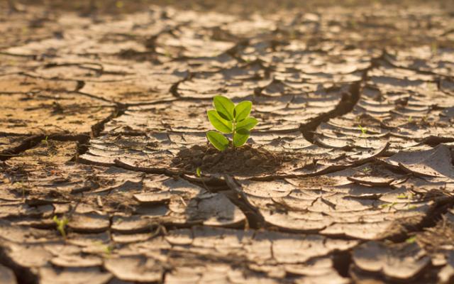 ¿Cómo nos afecta el cambio climático? | BupaSalud