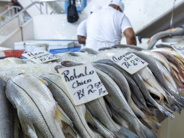 Pescado fresco, ejemplo de alimento para subir de peso, en un mercado de Ciudad de Panamá