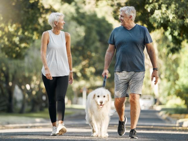 Pareja de adultos mayores pasea con su perro