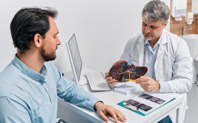 Médico mostrando cómo regenerar el hígado dañado por el alcohol.