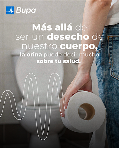 Examen de Orina ¿Sabes cómo está tu salud?