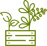 Icono de una caja con plantas